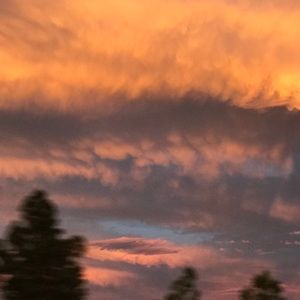 Meet your Posher, Zizi